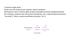 allegato