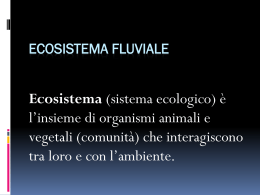 L`ecosistema fluviale - 3comm2012-2013