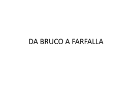 DA BRUCO A FARFALLA - SoFroLogiaOnline.com