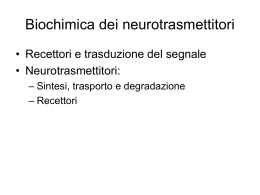 ppt Principi di neuroscienze: Neurotrasmettitori - Uninsubria