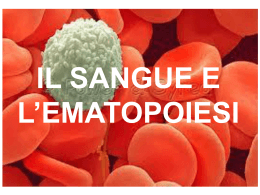 Biologia12_Sangue_Ematopoiesi