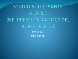 STUDIO SULLE PIANTE ALOFILE (NEI PRESSI DELLA FOCE DEL