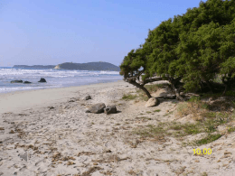 Presentazione standard di PowerPoint