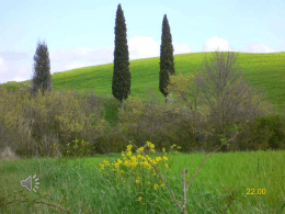 La preghiera di Gesù nell`imminenza della morte