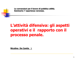Intervento De Cantis