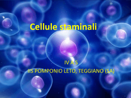 Cellule staminali