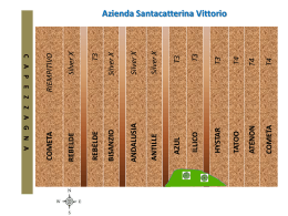 particelle campo prova