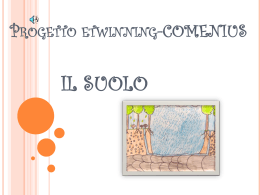 soil_comenius