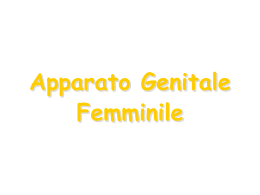 Apparato Genitale Femminile
