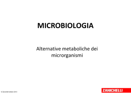METABOLISMO MICROBICO