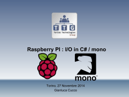 Raspberry PI - Torino Technologies Group