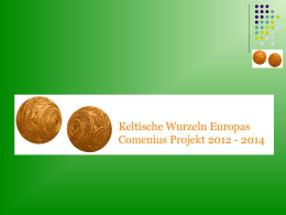 Secondo lei che aspetto avevano i Celti?