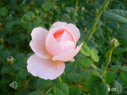 La ricchezza e il Regno di Dio