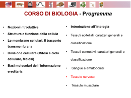 Biologia11Tessuto_Nervoso