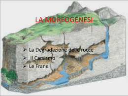 La Morfogenesi