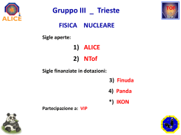 4 - INFN Trieste