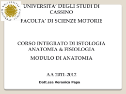 scheletro appendicolare - Universit&agrave; degli Studi di Cassino