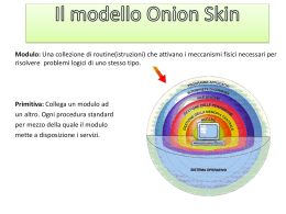 modello Onion Skin
