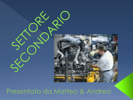 SETTORE SECONDARIO