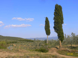 La preghiera nell`Apocalisse La preghiera verso il mondo intero