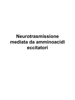 Neurotrasmissione mediata da amminoacidi eccitatori