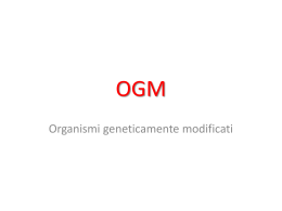 OGM - My LIUC