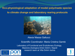 Eco-physiological adaptation of model polychaete