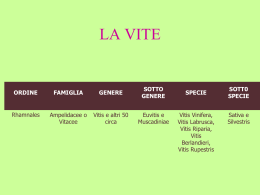 i sensi in gioco 2007