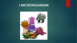 i microrganismi