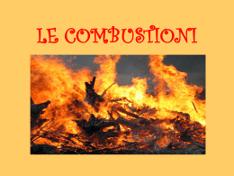 Le combustioni - Ceccoli Zanforlini