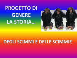 scimmie