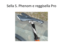 Sella S. Phenom e reggisella Pro