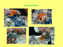 Insaporitore
