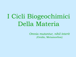I Cicli Biogeochimici Della Materia