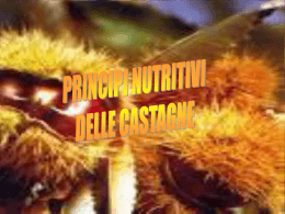 Principi nutritivi delle castagne