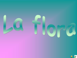 La flora - Miglionico
