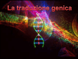 Traduzione del DNA - Liceo Galileo Galilei