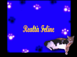 Realtà Feline - FantasItaly.com