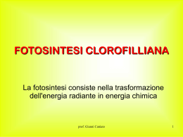 fotosintesi.zip - Liceo Copernico