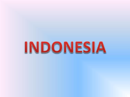 Presentazione Power Point sull`Indonesia