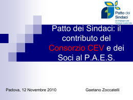 Il_Contributo_di_CEV_al_Patto