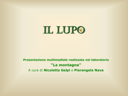 Il lupo - Zic - La Scuola Primaria Statale Padre B. Pilenga di Comun