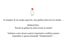 La gallina - Istituto "San Giuseppe"