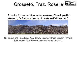 Grosseto, Fraz. Roselle