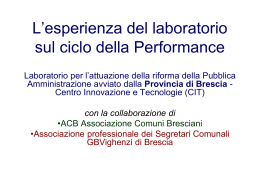 L`attuazione della riforma della Pubblica Amministrazione