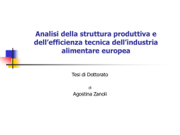 Analisi della struttura produttiva e dell`efficienza tecnica dell