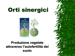 OrtiSinergici - Ecologia Comunicazione Organizzazione