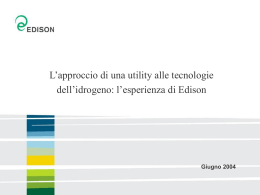 stato e indirizzi futuri delle ativit&agrave; di Ricerca e Sviluppo