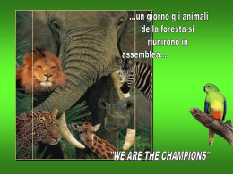 io credo in me sempre