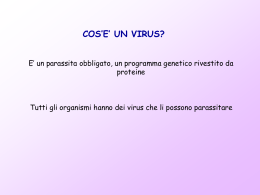 Virus (powerpoint)